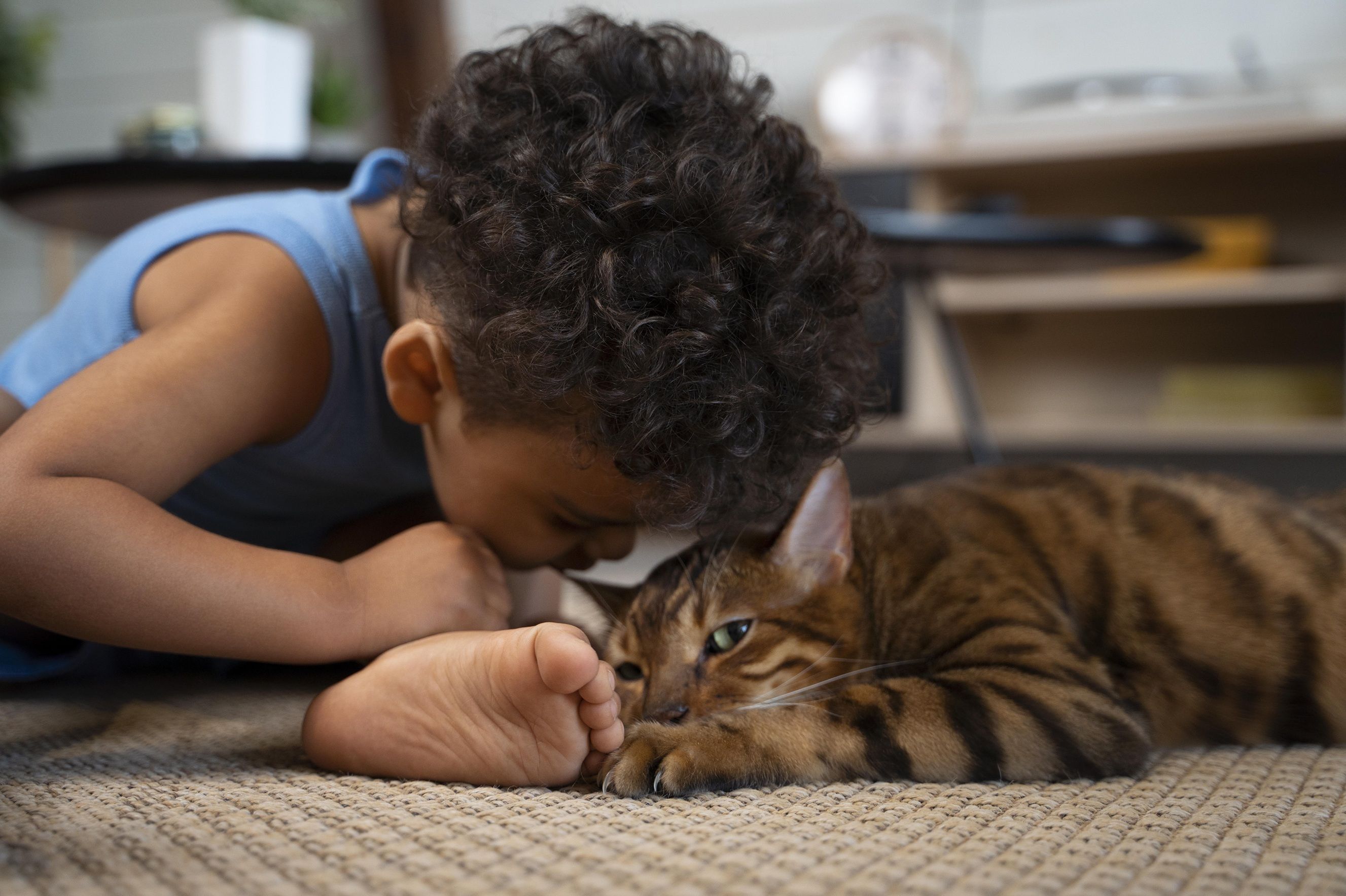 Planos para pets avançam no Brasil e entram na lista de gastos fixos das famílias