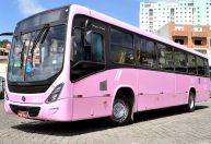Juiz-foranas analisam lei que cria ônibus rosa no transporte coletivo