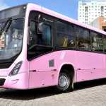 Juiz-foranas analisam lei que cria ônibus rosa no transporte coletivo
