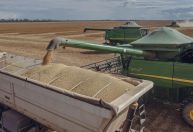 Exportação de soja do Brasil soma 15,8 mi toneladas em março, aponta ANEC