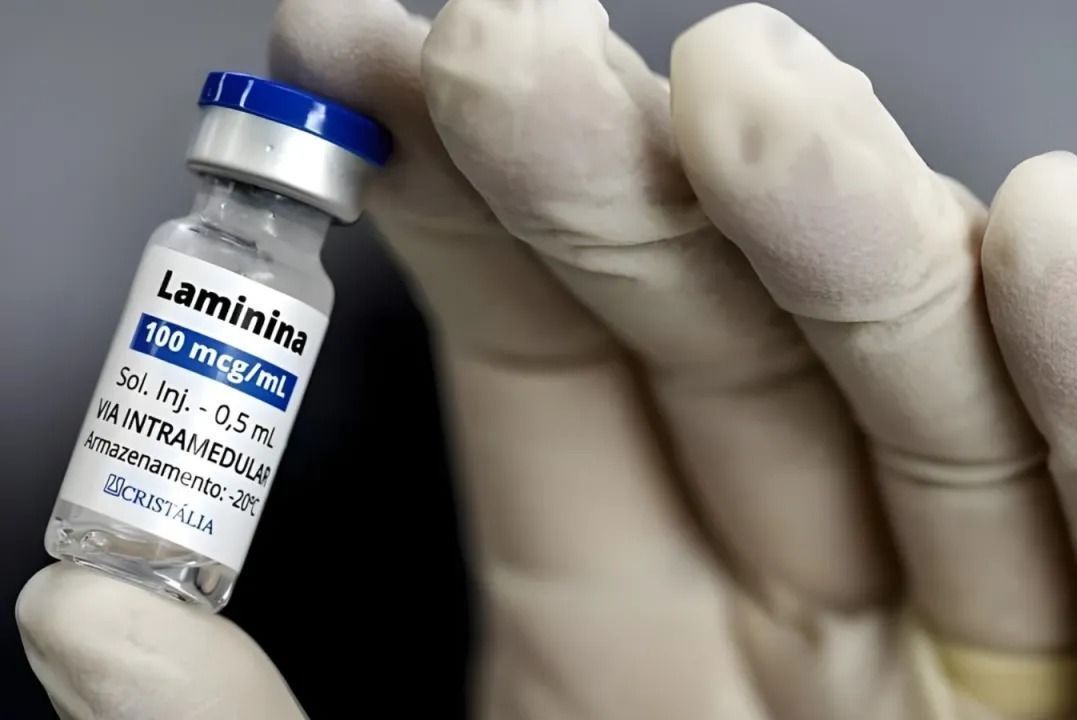 Polilaminina: estudo avança para publicação científica, segundo pesquisadora
