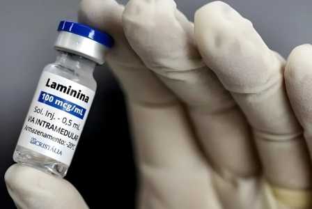 Polilaminina