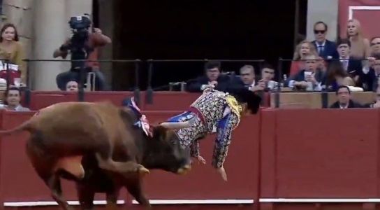 Matador é atingido com chifrada no reto