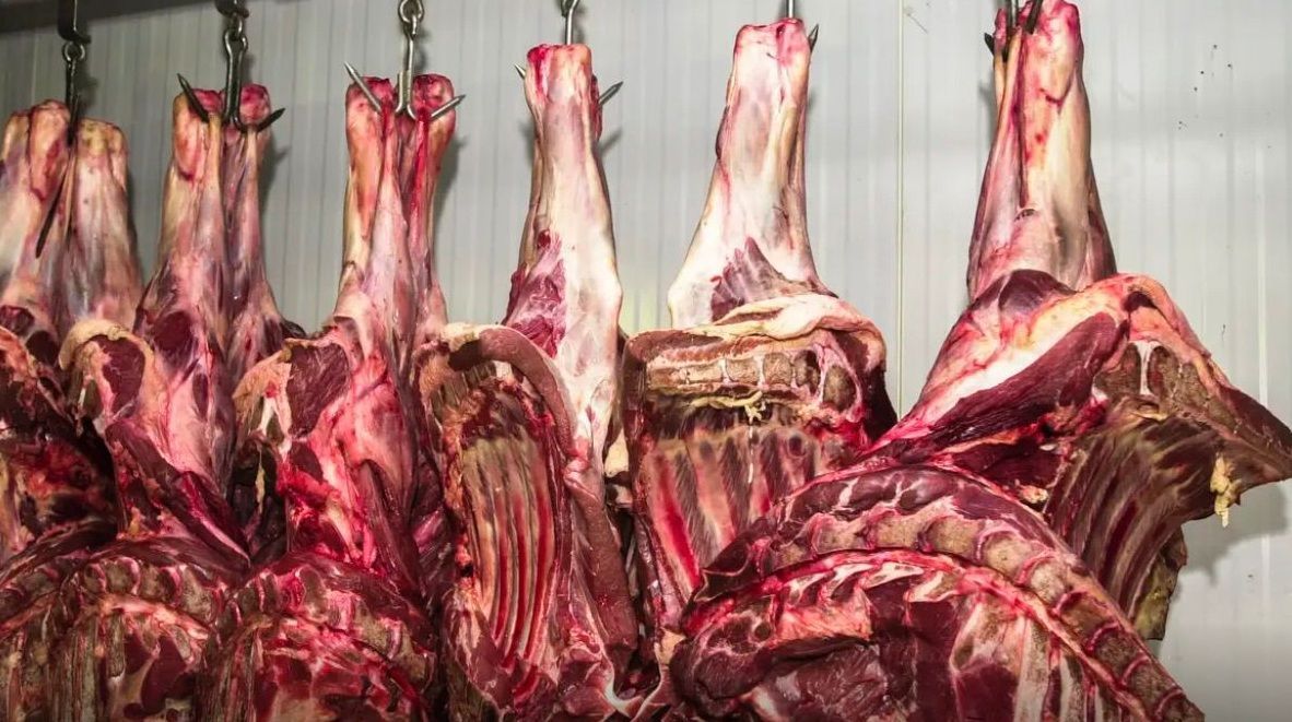 Mercado da carne bovina pode se complicar com omissão do Ministério da Agricultura