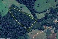 Varginha recebe doação de área de Mata Atlântica avaliada em R$ 1,2 milhão