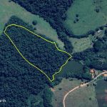 Varginha recebe doação de área de Mata Atlântica avaliada em R$ 1,2 milhão