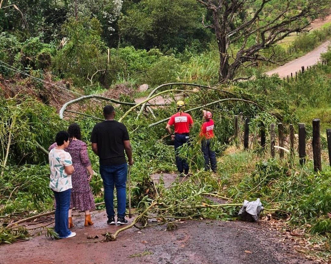Chuva derruba árvores e bloqueia estradas rurais em Andradas