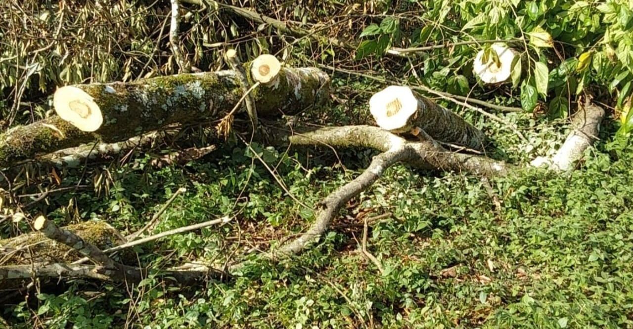PM de Meio Ambiente prende homens, em flagrante, por crime ambiental em Caldas