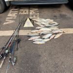 Dois homens são presos por pesca em local proibido no Rio Grande