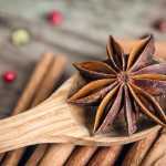 Quais são as propriedades e como utilizar o anis-estrelado?