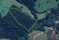 Professor doa área de mata para Prefeitura de Varginha criar parque ecológico