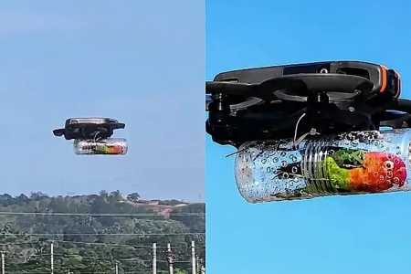 homem cria drone para ave voltar a voar