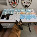 Jovem é preso com drogas, arma e mais de R$ 16 mil em Montes Claros