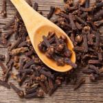 Aprenda a cultivar cravo-da-índia em casa com dicas de especialista