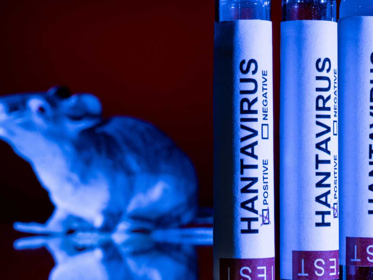 Região de MG com única morte de hantavírus no Brasil em 2026 tem histórico da doença | Rádio Itatiaia