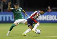 Veja quando será o próximo jogo do Palmeiras na Copa Libertadores