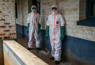 Vacina contra variante rara do ebola é desenvolvida por cientistas britânicos