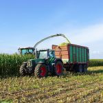 Biocombustíveis podem injetar R$ 403 bilhões no PIB do Brasil até 2035, diz FGV