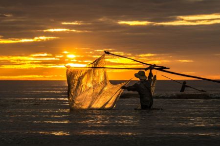Conferência Nacional de Pesca e Aquicultura tem etapas estaduais em junho; veja datas