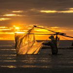 Conferência Nacional de Pesca e Aquicultura tem etapas estaduais em junho; veja datas