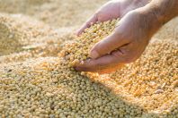 Safra recorde: cadeia da soja e biodiesel cresce 11,7% em 2025 e representa 5,4% do PIB