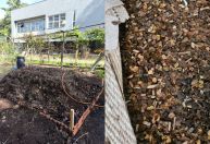 Café apreendido com impurezas vira adubo orgânico na Universidade Federal do Paraná
