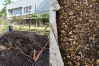Café apreendido com impurezas vira adubo orgânico na Universidade Federal do Paraná
