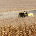 Paraná dispara na produção de etanol de milho com salto de 71%