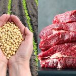 Agro brasileiro bate recorde e exporta US$ 16,6 bi em abril; soja e carne bovina são destaque