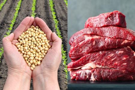 Agro brasileiro bate recorde e exporta US$ 16,6 bi em abril; soja e carne bovina são destaque