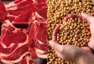 Agro exporta US$ 9,2 bilhões em abril com alta de 16% puxada por soja e carne