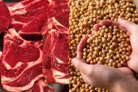 Agro exporta US$ 9,2 bilhões em abril com alta de 16% puxada por soja e carne