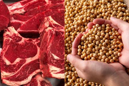 Agro exporta US$ 9,2 bilhões em abril com alta de 16% puxada por soja e carne