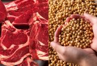 Agro exporta US$ 9,2 bilhões em abril com alta de 16% puxada por soja e carne
