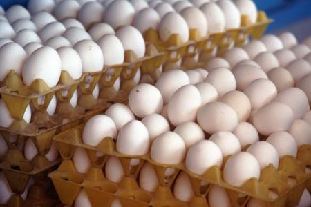 Com demanda aquecida, preço do ovo dispara 10% no início de maio
