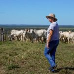 Mães da pecuária: força feminina molda a sucessão e a gestão no campo em MT