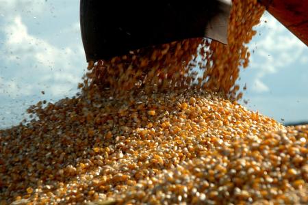 Além do café: produção de grãos em Minas cresceu 61% na última década