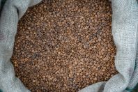 União Europeia amplia compra do café do Brasil e acordo Mercosul-UE anima exportadores
