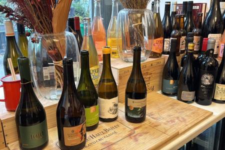 • Divulgação