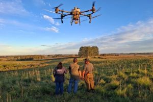 Teste inédito usa drones e produto biológico nas pastagens contra carrapato bovino