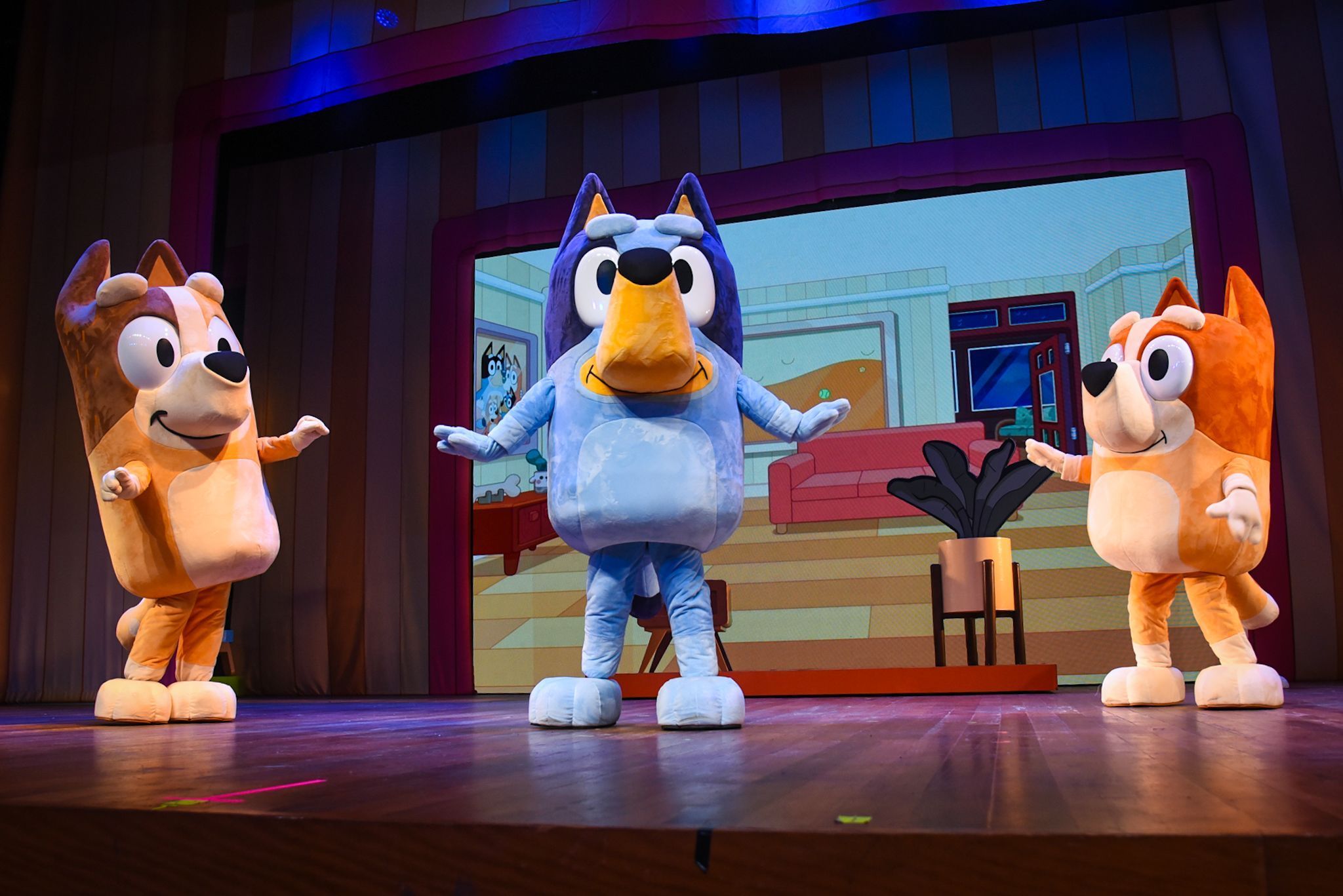 Pela primeira vez em BH, fenômeno infantil 'Bluey' chega aos palcos com show oficial