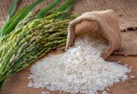 Guerra no Oriente Médio e El Niño podem reduzir produção mundial de arroz