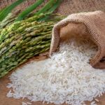 Guerra no Oriente Médio e El Niño podem reduzir produção mundial de arroz