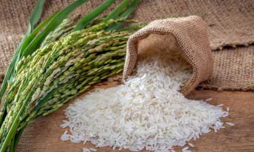 Arroz