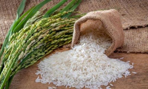 Arroz