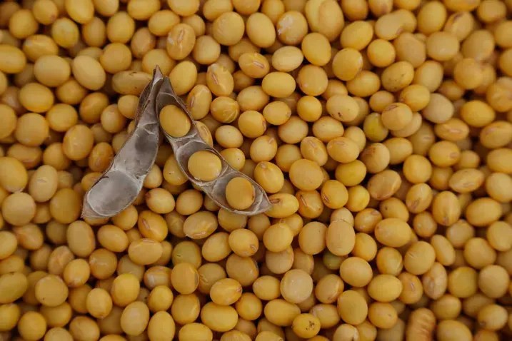 Produção de biodiesel em Mato Grosso responde por 26% do volume nacional