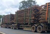 Restrição de carga na MGC-259: DER-MG limita veículos a 57t em trecho