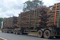 Restrição de carga na MGC-259: DER-MG limita veículos a 57t em trecho