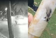 Polícia identifica suspeito de disparar fogos de artifício em atletas na Pampulha