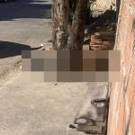 Família encontra corpo no portão de casa em Ribeirão das Neves: 'Ninguém sabe de nada'